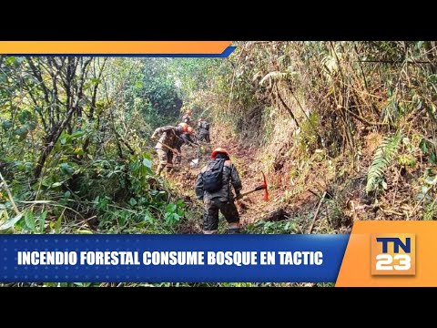 Incendio forestal consume bosque en Tactic