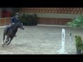 Springpaard Wangari Lilly O'  nr 27 BWP Online Foal auction