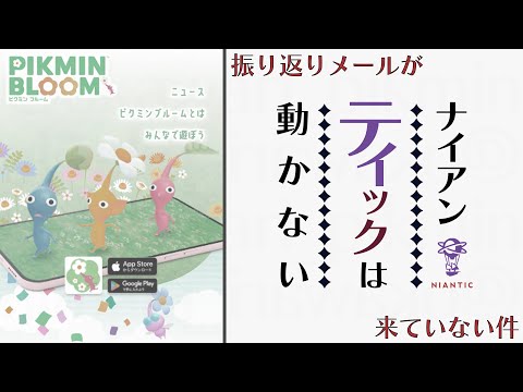 【ピクミンブルーム】振り返りメールの件でナイアンティックは動かない【Pikmin Bloom】