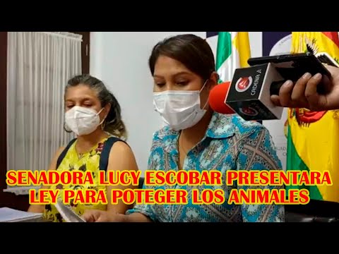 SENADORA LUCY ESCOBAR INFORMA SOBRE PROYECTO DE LEY DE LA TENENCIA DE ANIMALES Y BIOCIDIOS...
