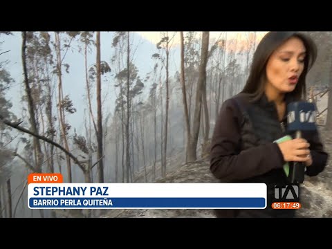 Barrio Perla Quiteña fue uno de los más afectados por el incendio forestal en Guápulo