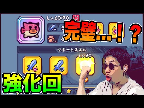 【強化回】厳選完了…！？【ダダサバイバー】