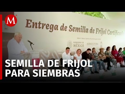 Gobierno de Quintana Roo entrega a productores 50 toneladas de semilla certificada de frijol negro