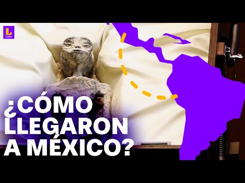 De Perú a México: ¿Cómo llegaron los supuestos extraterrestres a la Cámara de Diputados?