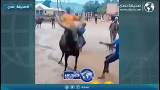 اهل العقول في راحة