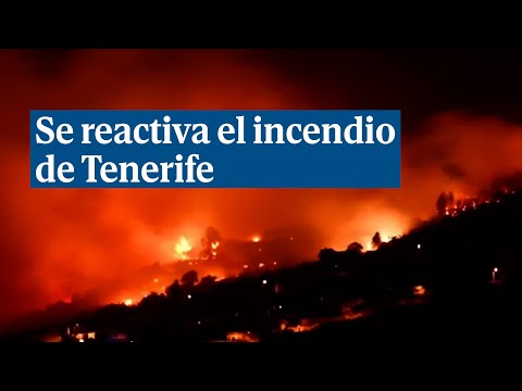 Miles de evacuados tras reactivarse el incendio que asoló Tenerife este verano