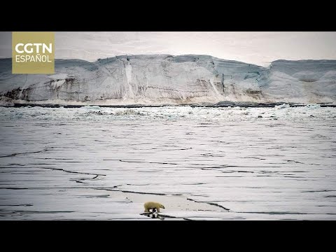 El director de WWF en Ecuador comenta los peligros del cambio climático a nivel global