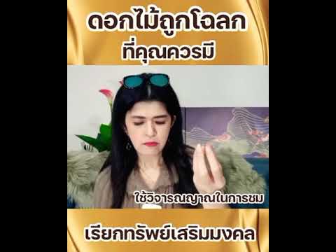ดอกไม้ที่คุณควรมี ดอกไม้ที่คุณควรมี