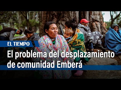 Desplazamiento de la comunidad Emberá, un problema de décadas | El Tiempo