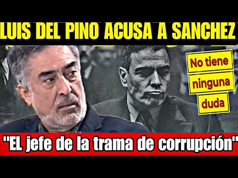 LUIS DEL PINO, SIN COMPLEJOS, ACUSA A PEDRO SÁNCHEZ COMO JEFE DE TODA LA TRAMA DE CORRUPCIÓN