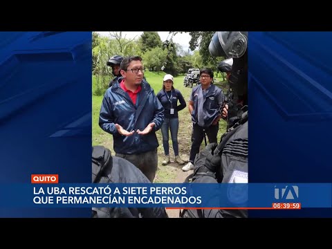UBA rescató 7 perros que vivían encadenados por un hombre en el parque Itchimbía