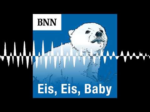 Liebe unter Eisbären? So wild wird’s im Zoo! - Eis, Eis, Baby