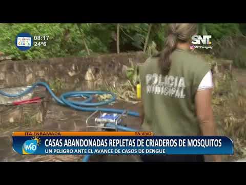 Casas abandonadas repletas de criaderos de mosquitos