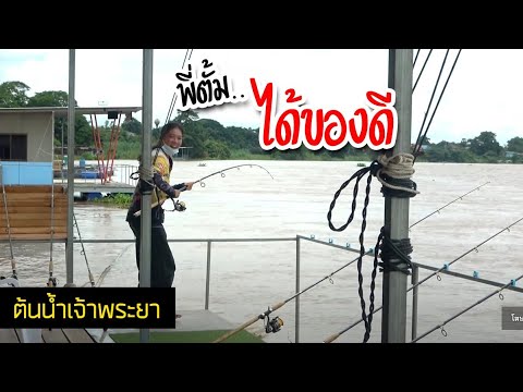 น้ำแรงเจ้าพระยา-เจอปลาเนื้อดี- น้ำแรงเจ้าพระยา-เจอปลาเนื้อดี-