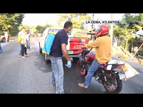 Mantienen fumigación preventiva a vehículos en entrada a La Ceiba
