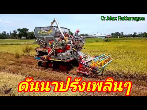 รถเกี่ยวข้าว-ดันนาปรังเดินนิ่ม รถเกี่ยวข้าว-ดันนาปรังเดินนิ่ม