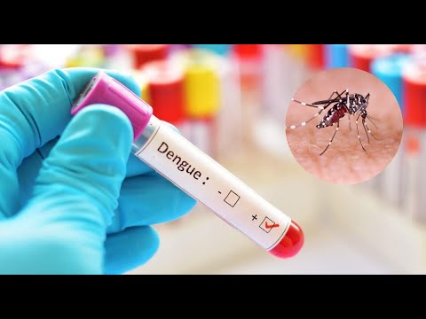 Casos de dengue se disparan en el país: ¿Se viene una epidemia?