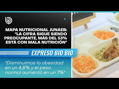 Mapa nutricional Junaeb: La cifra sigue siendo preocupante, más del 53% está con mala nutrición