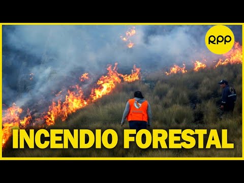 Incendios forestales en Perú: prevención y vigilancia