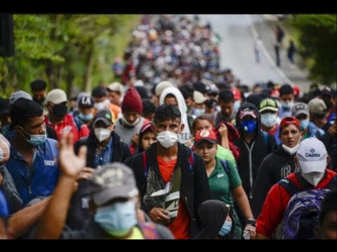 Migración se prepara para posible caravana de personas que buscan llegar a EEUU