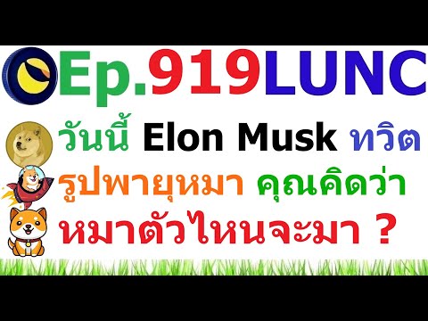 [Ep.919]วันนี้ElonMuskทวิต