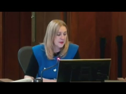 Vancouver city councillor swears during a council meeting