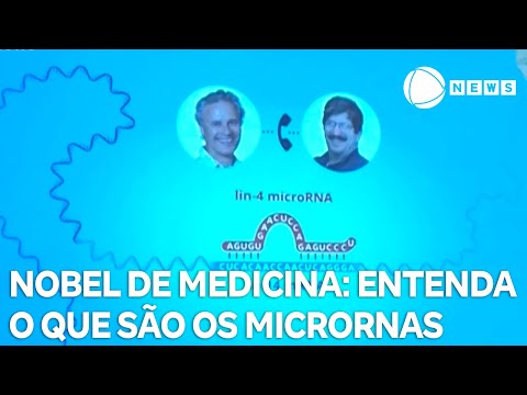 Entenda o que são os microRNAs, descoberta que rendeu o Nobel de Medicina a cientistas americanos