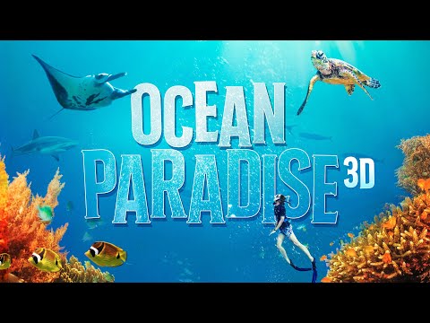 Watch the Ocean Paradise 3D Official Trailer