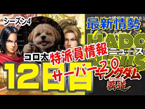 【キングダム覇道S4-S20】シーズン12日目・サーバー20の情勢「覇道ニュース」