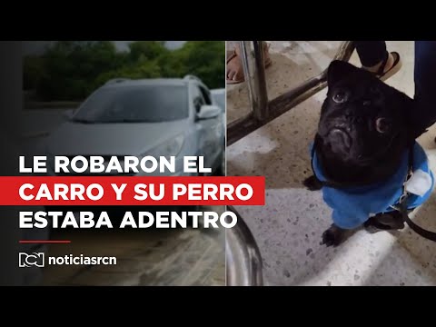 Insólito: Delincuentes se robaron vehículo con mascota adentro en plena luz del día