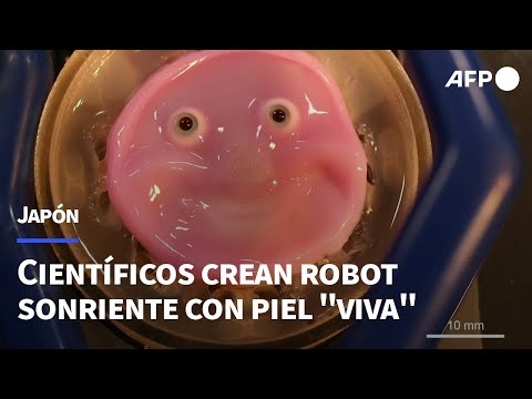 Científicos japoneses crean robot sonriente con piel viva | AFP