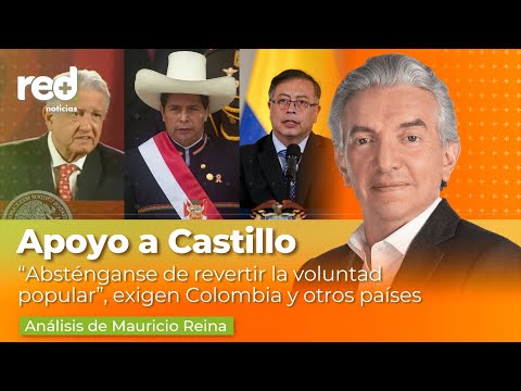 Gobierno Petro y otros países respaldan a Pedro Castillo y piden respetar sus derechos | Red+