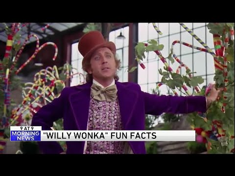 Wild 'Willy Wonka' fun facts