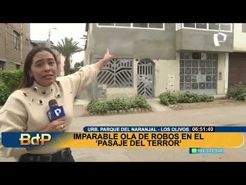 'Pasaje del Terror' en Los Olivos: vecinos de la urb. Parque del Naranjal denuncian ola de asaltos