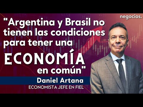 Argentina y Brasil no tienen las condiciones para tener una economía en común. Daniel Artana