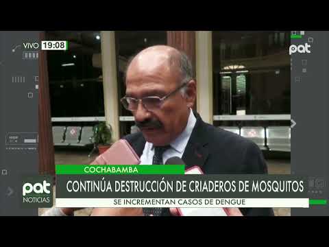 Cochabamba: se incrementan casos de dengue