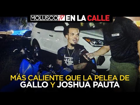 Lo que piensa PR de Gallo The Producer vs Joshua Pauta ( morirán de la risa ) #ElEnmascarado