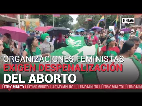 Organizaciones feministas exigen nuevamente la despenalización del aborto en Venezuela
