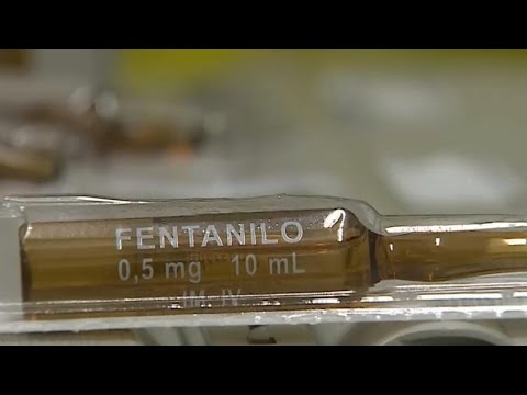 Ministra Carolina Tohá detalla sobre lo que se sabe del fentanilo en Chile