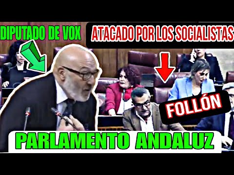 TENSIÓNUN DIPUTADO DE VOX ES ATACADO POR LOS SOCIALISTAS EN EL PARLAMENTO ANDALUZ