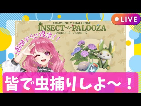 【Palia】１週間ぶりの復帰配信！皆で虫捕りしてインセクトパルーザを盛り上げよう☆（第128回パリアライブ配信）【パリア】【ライブ配信】