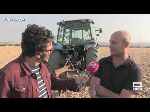 Los tractoristas de Munera demuestran su destreza al volante | Ancha es Castilla-La Mancha