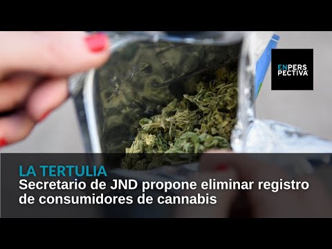 Secretario de JND propone eliminar registro de consumidores de cannabis