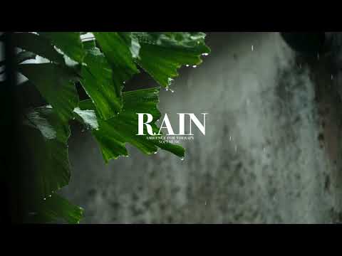 RAINASMRsoundofnaturespe