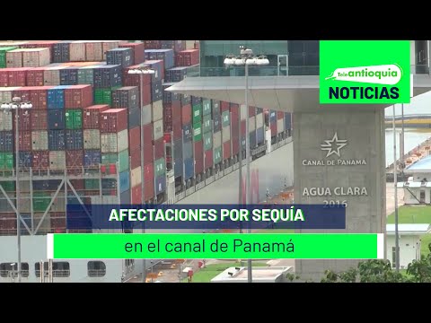 Afectaciones por sequía en el canal de Panamá - Teleantioquia Noticias