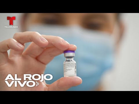 La FDA está a un paso de aprobar la vacuna de Pfizer contra el coronavirus