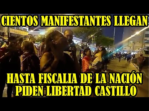 AUTOCONVOCADOS LLEGAN HASTA AV. ABANCAY CENTRO DE LIMA PARA PROTESTAR CONTRA FISCAL DE LA NACIÓN..