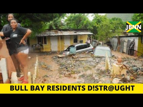 WATCH: Bull Bay After $evere Fl00ding Caused By Tropical Storm Eta/JBNN