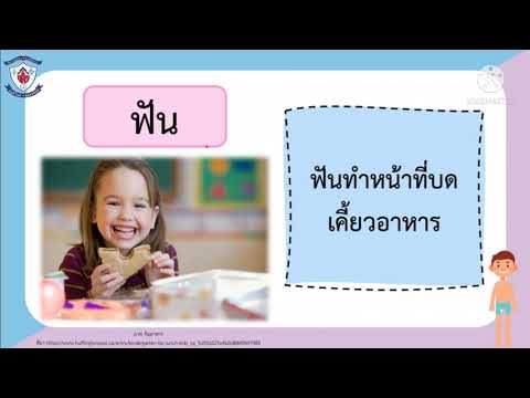 อวัยวะภายในช่องปากป.1