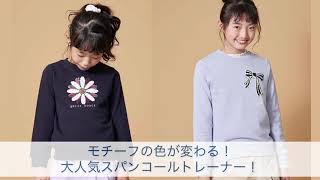 動画で詳細をチェック